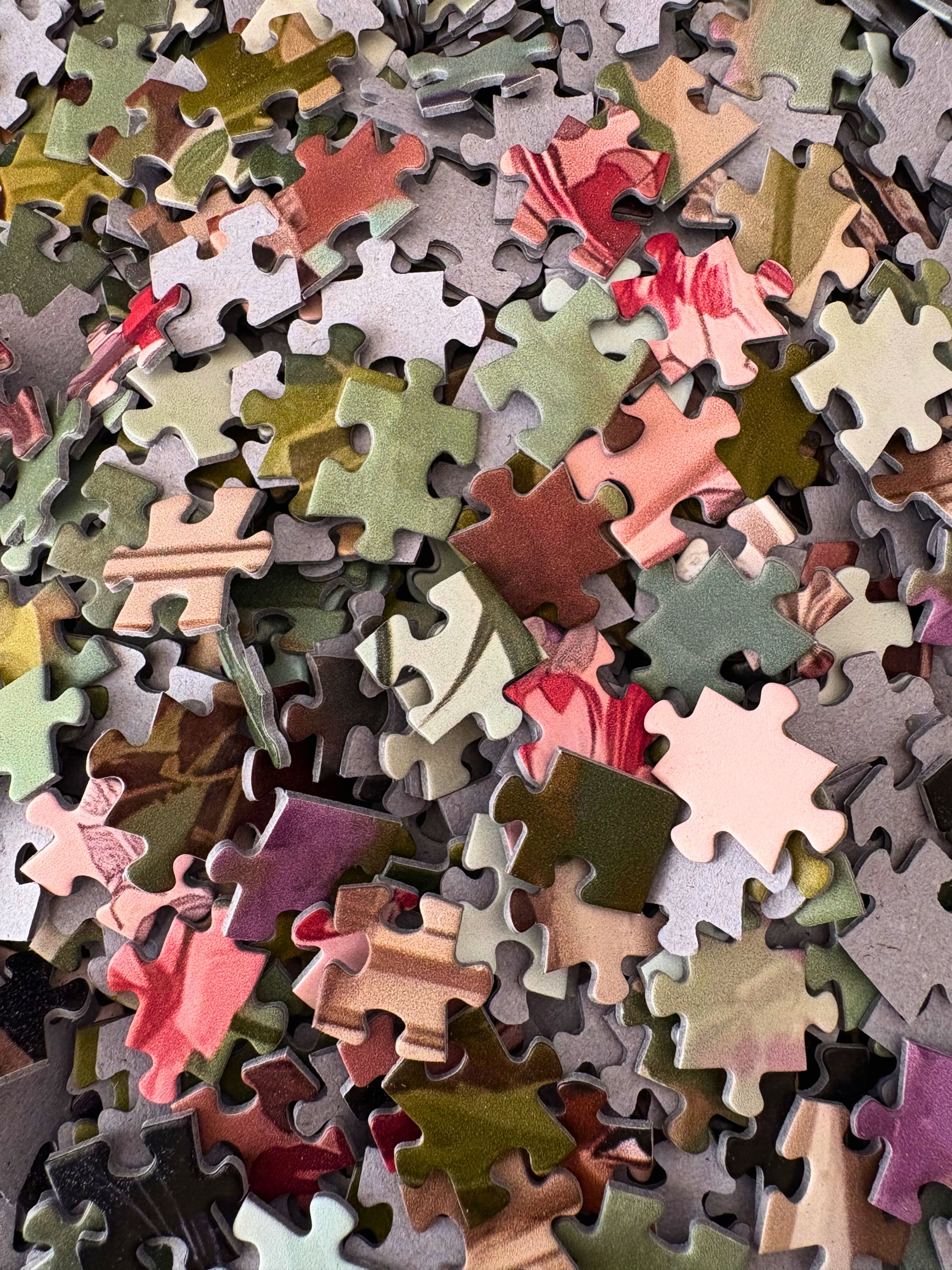 The Reader & Her Shadow 1000 Piece Jigsaw Puzzle